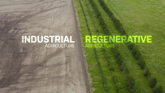 Industrial vs Regenerative Agriculture, Common Ground movie